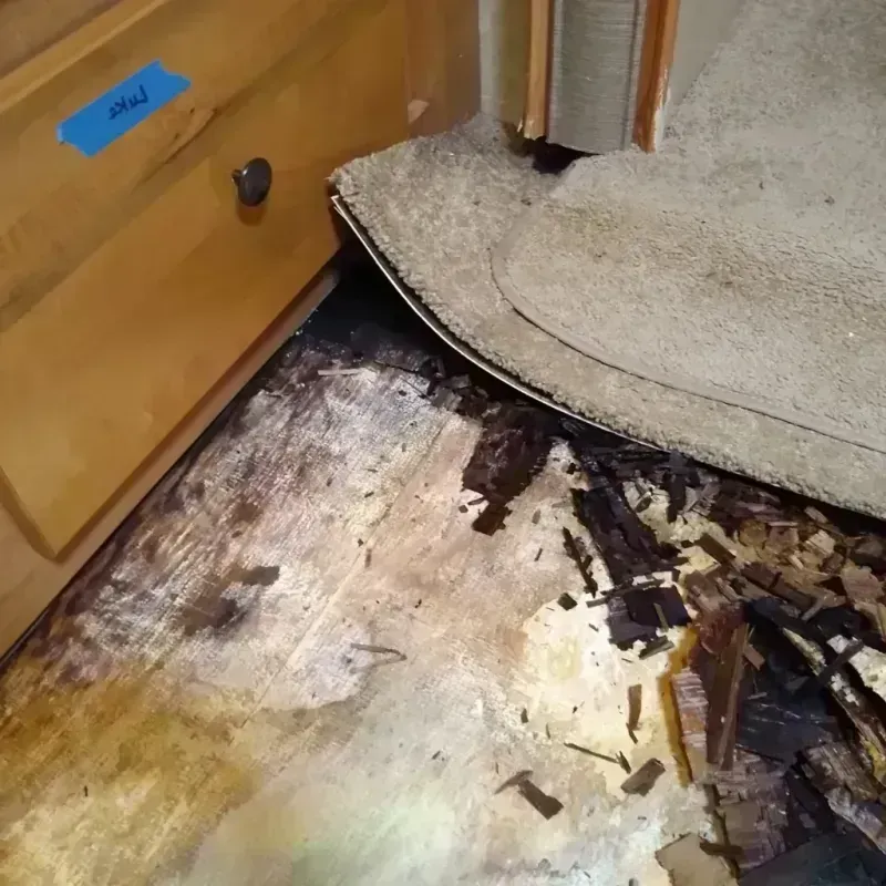 Best Wood Floor Water Damage Service in Dallas Center, IA